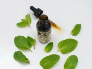peppermint leaves and essential oil