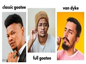 van-dyke-vs-goatee